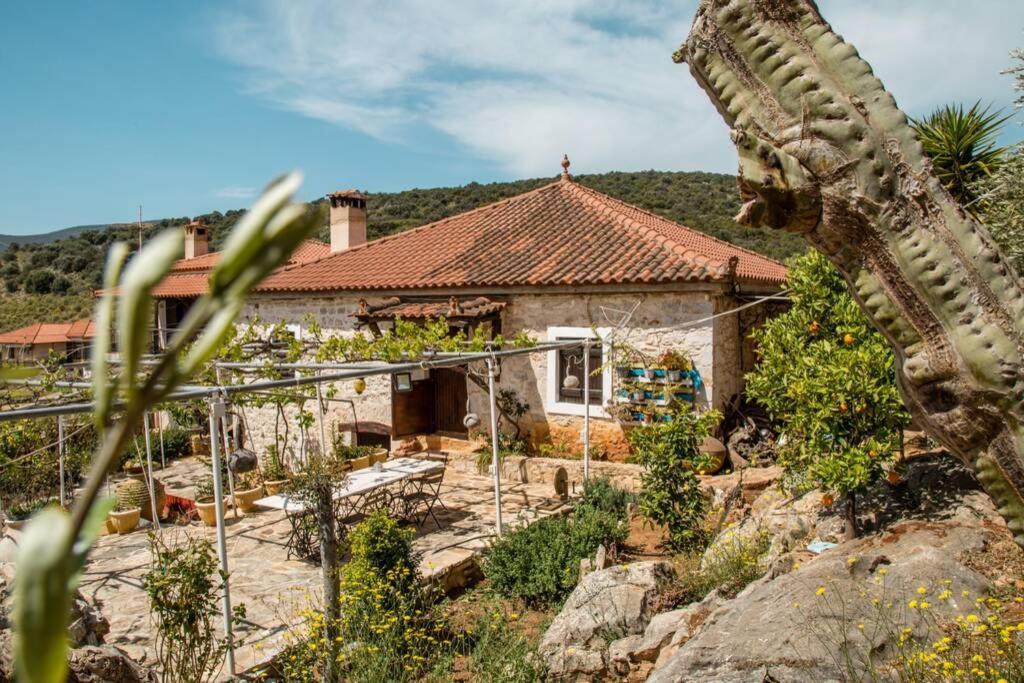 Willa Pontinos Old House Míloi Zewnętrze zdjęcie